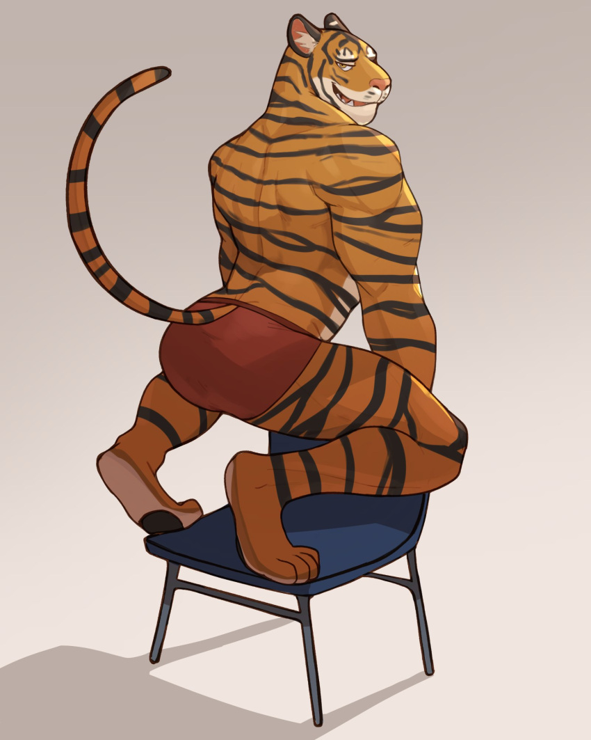 2021 4:5 anthro big_muscles butt chair clothing felid furgonomics furniture grey_background hi_res jrjresq kneeling looking_back male mammal muscular muscular_anthro muscular_male narrowed_eyes on_chair pantherine presenting presenting_hindquarters raised_tail simple_background smile solo tail_clothing tiger underwear