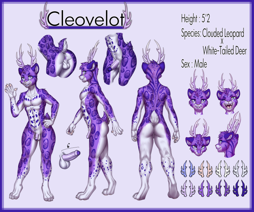 absurd_res anthro antlers athletic balls capreoline cervid cleovelot clouded_leopard digitigrade english_text erection felid flaccid folded_ears foreskin fur genital_focus genitals hair headshot_portrait hi_res horn humanoid_genitalia hybrid male mammal maxx-ros measurements model_sheet multiple_angles palette pantherine penis portrait purple_body purple_eyes purple_fur purple_hair purple_penis purple_spots purple_stripes rosettes scut_tail short_hair short_tail smile solo spots spotted_body stripes teeth_showing text wave white-tailed_deer white_balls white_body white_fur wide_hips