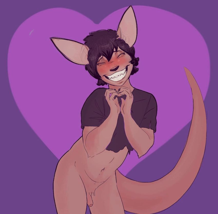&lt;3 anonymous_artist anthro black_hair black_nose blush bottomless clothed clothing genitals hair kangaroo long_ears long_hair macropod male mammal marsupial penis pouch_(anatomy) small_penis solo torn_clothing