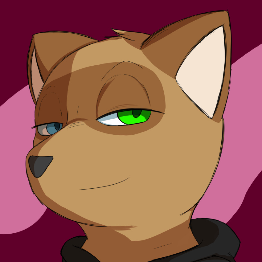 1:1 anthro blue_eyes brown_body brown_fur canid canine clothed clothing female fur green_eyes half-closed_eyes heterochromia hi_res hoodie looking_at_viewer maguwhite_(artist) mammal narrowed_eyes pink_background portrait raccoon_dog simple_background smile smiling_at_viewer smirk solo tanuki topwear yuki_(side_b)