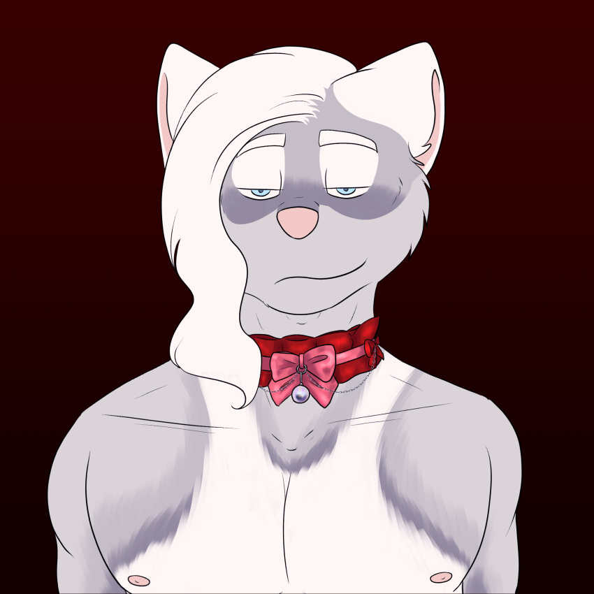 1:1 anthro antoszowa bell bell_collar blue_eyes bow_tie bust_portrait canid canine canis clothing collar domestic_dog hair hi_res husky long_hair male mammal nipples nordic_sled_dog portait portrait red_clothing smile solo spitz