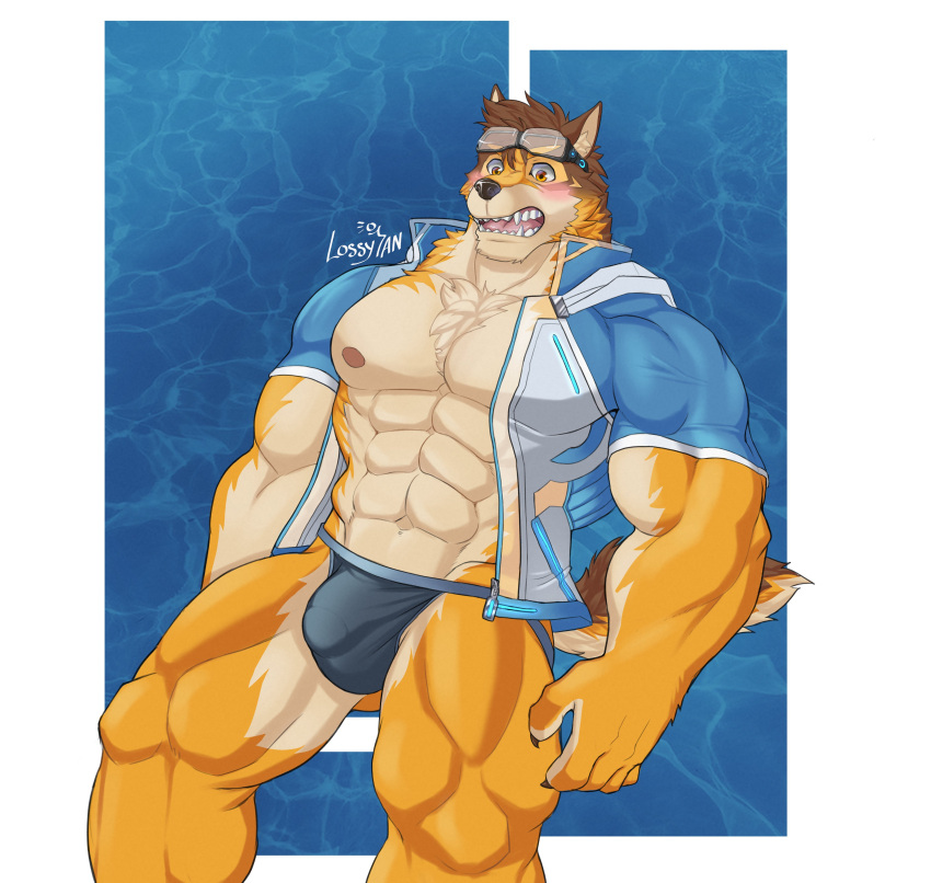 abs absurd_res anthro barrel_(live-a-hero) biceps blush bulge canid canine canis clothing embarrassed eyewear goggles hi_res lifewonders live-a-hero lossy_ian male mammal muscular muscular_anthro muscular_legs muscular_male nipples pecs solo speedo swimwear video_games wolf