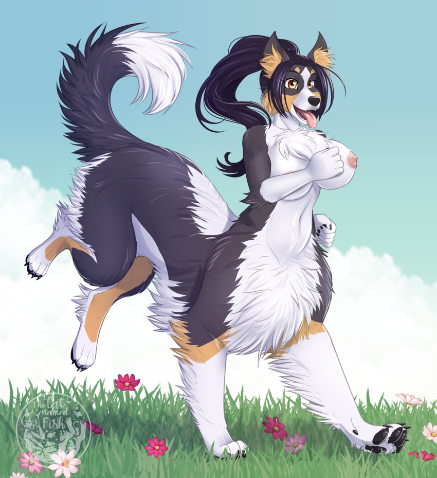 4_toes 5_fingers absurd_res areola black_body black_fur black_hair breasts brown_body brown_eyes brown_fur canid canid_taur canine canine_taur canis day detailed_background dog_taur domestic_dog eyebrows eyelashes feet female fingers fur grass hair hi_res mammal mammal_taur nipples open_mouth outside plant sky smile solo taur teeth thecatnamedfish toes tongue white_body white_fur