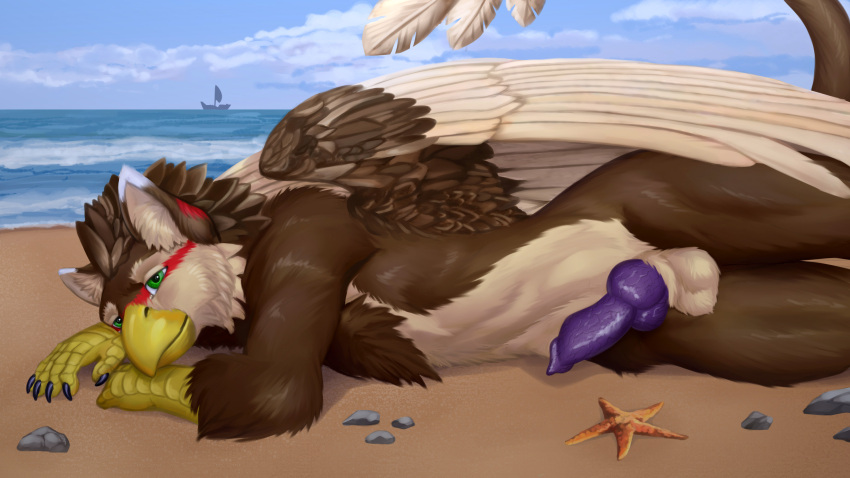 animal_genitalia animal_penis anthro avian beach beak canine_penis facial_tuft feathered_wings feathers fridaflame genitals gryphon hi_res knot male mythological_avian mythology outside penis seaside sheen(the_gryphon) solo talon_hands talons wings