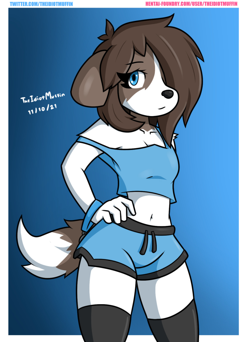 2021 anthro beagle black_clothing black_footwear black_socks blue_clothing blue_eyes blue_shirt blue_tank_top blue_topwear bottomwear breasts brown_body brown_fur brown_hair canid canine canis clothed clothing collar digital_media_(artwork) domestic_dog female fingers fluffy fluffy_tail footwear fur gym_bottomwear gym_clothing gym_shorts hair hair_over_eye hand_on_hip hi_res hunting_dog legwear long_hair looking_away mammal one_eye_obstructed sam_(theidiotmuffin) scent_hound shirt shorts signature simple_background socks solo tank_top text theidiotmuffin thigh_highs topwear url white_body white_fur