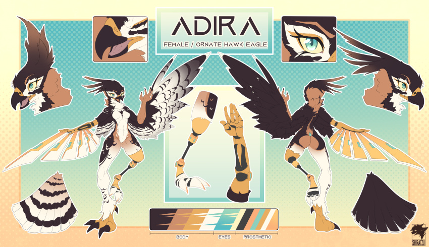 accipitrid accipitriform anthro aquilinae avian barbie_doll_anatomy beak bird blue_eyes breasts brown_body claws cybernetic_arm cybernetic_limb cybernetics digital_media_(artwork) eagle english_text feathered_wings feathers female head_feathers hi_res kemono machine metallic_wings mismatched_wings model_sheet nude open_mouth ornate_hawk-eagle prosthetic prosthetic_arm prosthetic_leg prosthetic_limb prosthetic_wings shiratzu smile solo standing tail_feathers talons text white_body wings