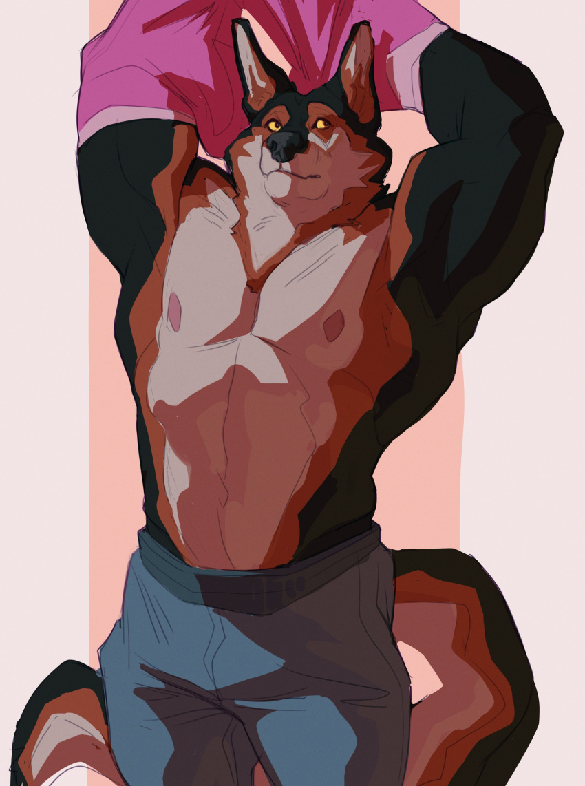 2021 abs absurd_res anthro arms_above_head biceps big_muscles biped black_nose bottomwear brown_body brown_eyes brown_fur canid canine canis clothed clothing digital_media_(artwork) domestic_dog fur german_shepherd herding_dog hi_res male mammal marshy_(artist) muscular muscular_anthro muscular_male navel nipples pants pastoral_dog pecs removing_shirt shirt solo standing tan_body tan_fur topwear undressing yellow_sclera