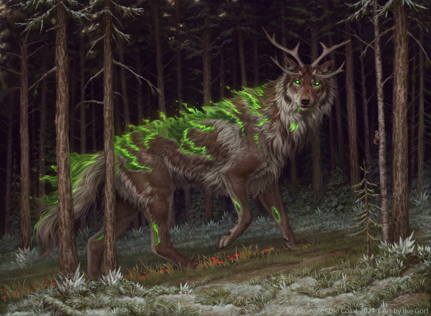 2021 ambiguous_gender brown_body brown_fur canid canine canis caraid detailed_background digital_media_(artwork) feral forest fur grass green_body green_fur hybrid mammal night outside plant solo tree wolf