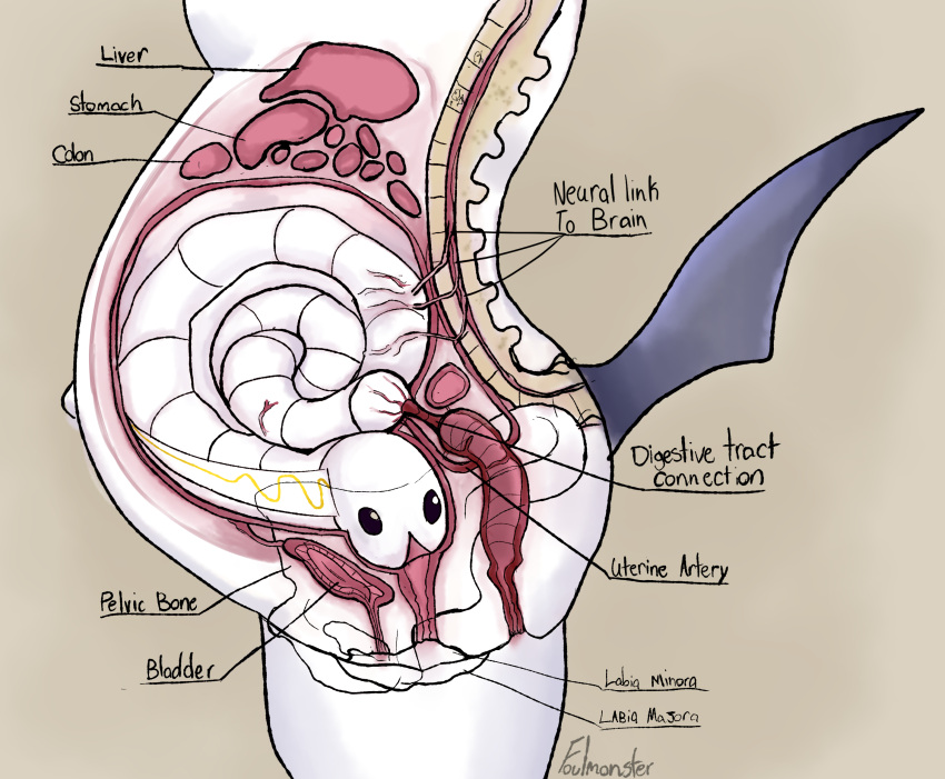 2021 absol ambiguous_gender anatomy anatomy_reference anthro anus belly big_belly black_eyes black_tail bladder bone coiled_up creature_inside cross_section curled_up diagram edit english_text fake_pregnancy fallout:_pca female feral flat_colors foulmonster genitals guts hi_res host internal intestine_displacement intestines label liver nerves nintendo organs parasite pelvis pok&eacute;mon pok&eacute;mon_(species) pregnant profile_view pussy side_view signature simple_background spinal_cord spine standing stomach_(organ) text tynamo urethra video_games vore