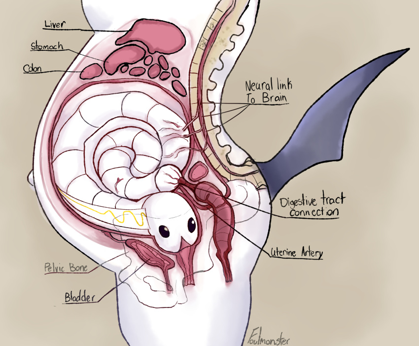 2021 absol ambiguous_gender anatomy anatomy_reference anthro belly big_belly black_eyes black_tail bladder bone coiled_up creature_inside cross_section curled_up diagram english_text fake_pregnancy fallout:_pca female feral flat_colors foulmonster guts hi_res host internal interspecies interspecies_pregnancy intestine_displacement intestines label liver nerves nintendo organs parasite pelvis pok&eacute;mon pok&eacute;mon_(species) pregnant profile_view side_view signature simple_background spinal_cord spine standing stomach_(organ) story story_in_description text tynamo urethra video_games vore