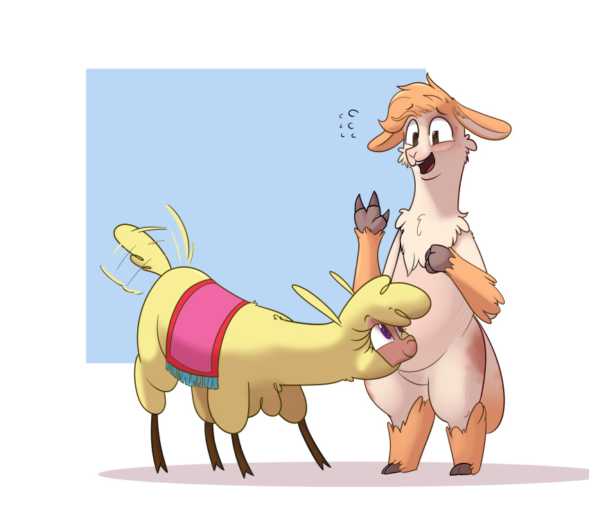 alpaca anthro biped camelid duo eye_contact female feral hi_res hitsuji looking_at_another male mammal nervous_smile olli_(braeburned) paprika_paca_(tfh) tail_motion tailwag them's_fightin'_herds