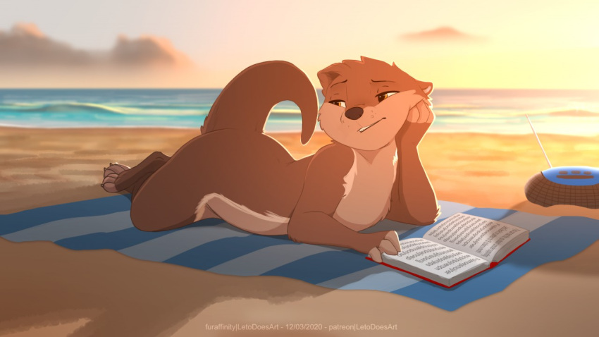 16:9 amber_eyes ambiguous_gender beach beach_towel black_nose book brown_body brown_fur claws cloud eyebrows fur gibberish half-closed_eyes letodoesart lutrine lying mammal multicolored_body mustelid narrowed_eyes on_front open_mouth outside radio raised_tail sea seaside semi-anthro solo sunset tan_body tan_fur teeth towel two_tone_body water whisker_spots widescreen