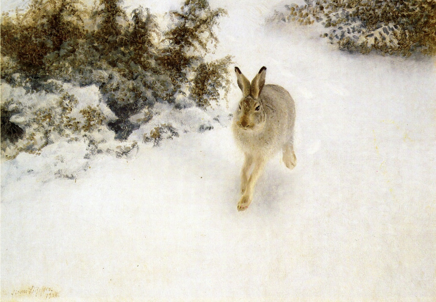 1908 20th_century ancient_furry_art bruno_liljefors feral fur grey_body grey_fur hare lagomorph leporid long_ears mammal oil_painting_(artwork) out outside painting_(artwork) public_domain quadruped realistic signature snow solo traditional_media_(artwork) winter