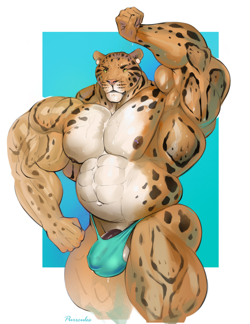 5_fingers abs anthro areola balls barely_contained belly benji_(character) biceps big_balls big_biceps big_muscles big_penis biped bodily_fluids brown_body brown_fur brown_spots clothed clothing clouded_leopard ear_piercing felid fingers fist fur genitals hi_res huge_biceps huge_muscles huge_thighs hyper hyper_muscles mainlion male mammal musclegut muscular navel nipples pantherine pecs penis piercing pinup pose raised_arm solo spots spotted_body spotted_fur sweat sweatdrop tan_body tan_fur thick_thighs thong thong_only underwear underwear_only veiny_muscles yellow_sclera