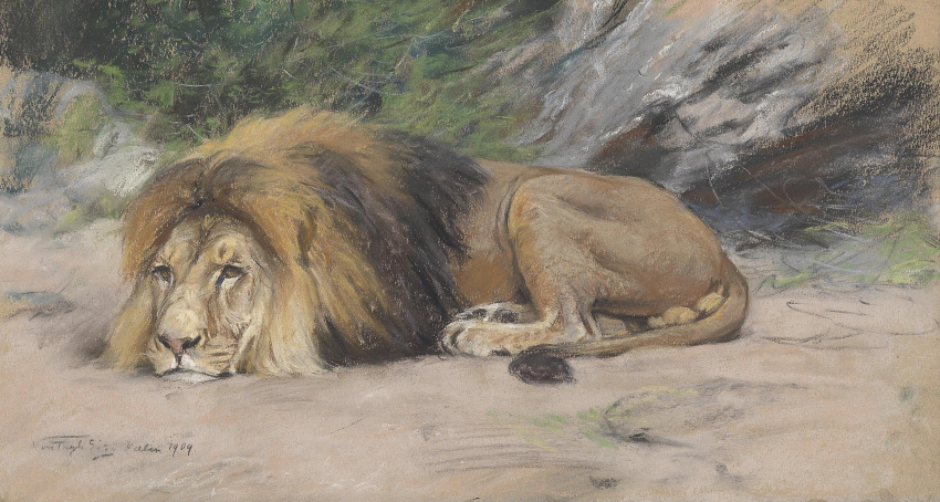 1909 20th_century absurd_res ancient_furry_art brown_body brown_fur brown_mane dated felid feral fur geza_vastagh hi_res lion male mammal mane nude outside pantherine pastel_(artwork) proper_art public_domain realistic resting signature solo traditional_media_(artwork)