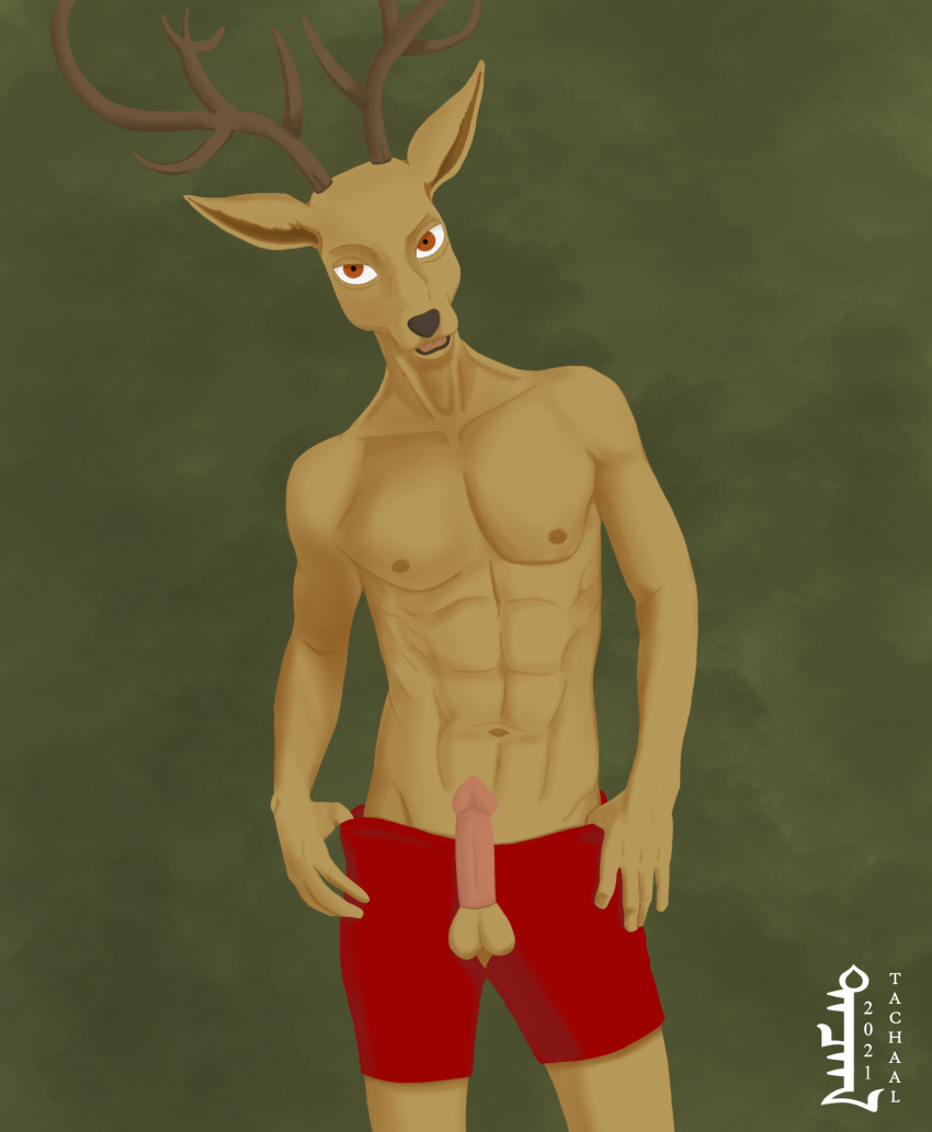 anthro antlers beastars cervid clothing erection genitals hi_res horn louis_(beastars) male mammal muscular nipples penis penis_through_fly poking_out solo tachaal underwear