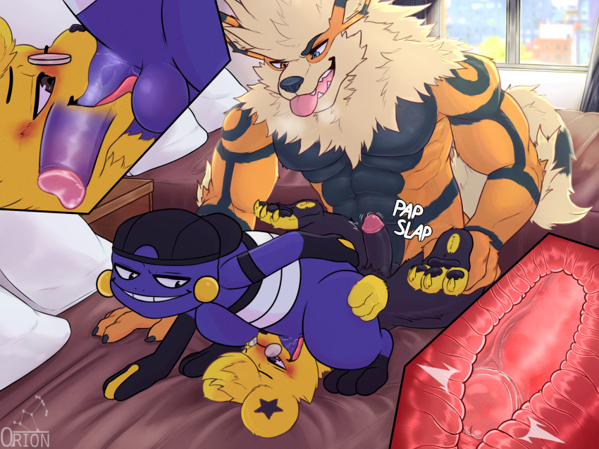 4:3 anal anal_penetration anthro arcanine backwards_hat bed croagunk def_the_arcanine duo eyewear furniture glasses group group_sex hi_res internal leg_grab luca_the_shinx male male/male nintendo oral oral_penetration orion_(orionsmaniac) orionsmaniac_(artist) penetration pok&eacute;mon pok&eacute;mon_(species) sex shinx size_difference threesome tongue tongue_out video_games window