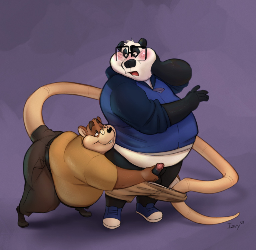 2021 anthro assisted_exposure belly black_body black_nose blush bottomwear brown_body clothing duo erection eyewear genitals giant_panda glasses hi_res hoodie izvy_(artist) long_tail male male/male mammal mr._plagait murid murine overweight overweight_male pants pantsing penis prehensile_tail rat rodent shirt simple_background teacher topwear ursid white_body