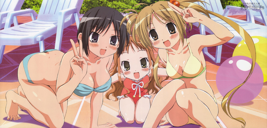 bikini cleavage he_is_my_master sawatari_izumi sawatari_karin sawatari_mitsuki swimsuits