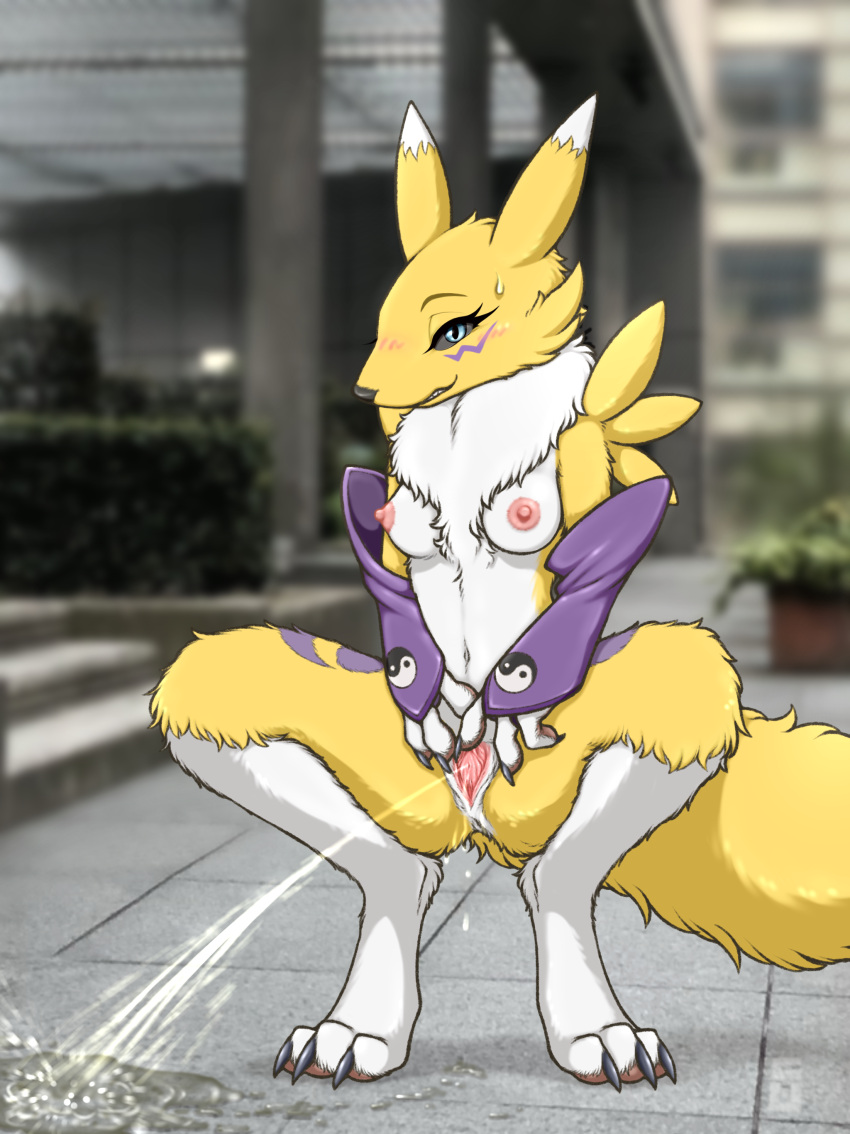 2021 3_fingers 3_toes absurd_res anthro anus areola armwear bandai_namco black_nose black_sclera blue_eyes blurred_background blush bodily_fluids breasts bridal_gauntlets claws clothing crocodiler_owen crouching detailed_background digimon digimon_(species) digital_media_(artwork) dipstick_ears english_text eyebrows eyelashes feet female fingers fur genital_fluids genitals hi_res leg_markings markings mostly_nude multicolored_ears navel nipples outside peeing public public_urination pussy renamon shaded socks_(marking) solo spread_legs spread_pussy spreading text toe_claws toes urethra urine urine_stream watersports yellow_body yellow_fur