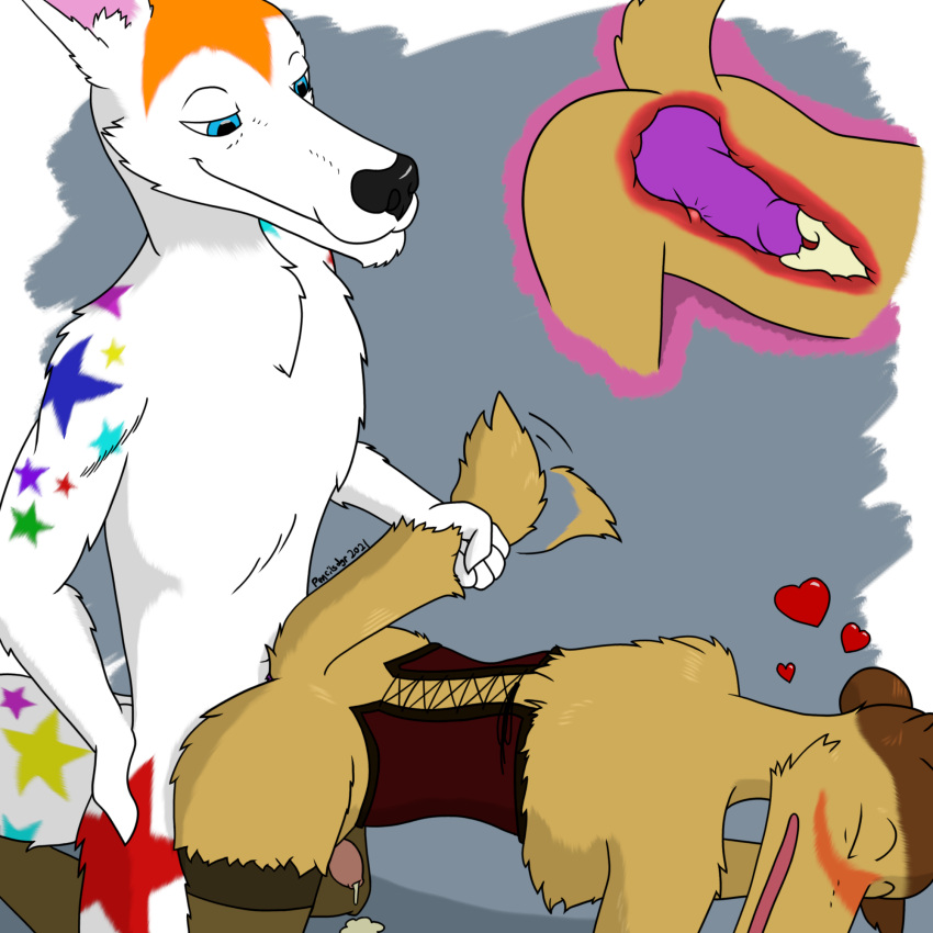 &lt;3 1:1 2021 anal anal_knotting anal_penetration animal_genitalia animal_penis anthro bird_dog blue_eyes blush bodily_fluids brown_hair canid canine canine_penis canis clothing corset cum cum_in_ass cum_inside digital_media_(artwork) domestic_dog duo fennec foreskin fox fur genital_fluids genitals girly golden_retriever grin hair hi_res humanoid_genitalia humanoid_penis hunting_dog internal internal_anal knot knotting legwear lingerie male male/male male_penetrated male_penetrating male_penetrating_male mammal open_mouth pencilsdgr penetration penile penile_penetration penis penis_in_ass ponytail prostate prostate_stimulation rain_color retriever sex simple_background smile star stockings tail_grab tail_motion tail_pull tailwag topwear white_body white_fur yellow_body yellow_fur zach_pentz