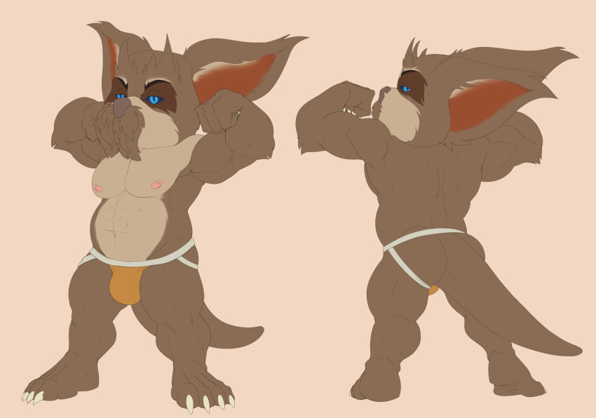 2021 4_fingers 4_toes abs absurd_res anthro belly big_biceps big_calves big_deltoids big_ears big_muscles big_pecs big_quads blue_eyes blue_pupils blue_sclera bottomwear bristol brown_back brown_body brown_butt brown_ears brown_eyebrows brown_feet brown_fur brown_inner_ear brown_legs brown_markings brown_mustache brown_nose brown_tail brown_toes butt chua claws clothed clothing colored digital_drawing_(artwork) digital_media_(artwork) ear_tuft elbow_tufts eyebrows facial_markings fan_character feet fingers flat_colors fluffy_ears fur half-closed_eyes head_markings head_tuft hi_res humanoid_hands jockstrap_only looking_at_viewer male male_anthro mammal markings mask_(marking) mature_anthro mature_male model_sheet multicolored_body multicolored_bottomwear multicolored_clothing multicolored_fur multicolored_underwear musclegut muscular muscular_anthro muscular_male narrowed_eyes nipples obliques orange_bottomwear orange_clothing orange_jockstrap orange_underwear pecs pink_nipples plantigrade pupils rear_view short_anthro short_male solo standing tan_belly tan_chest tan_face tan_inner_ear three-quarter_view toes topless topless_male tuft two_tone_body two_tone_bottomwear two_tone_clothing two_tone_face two_tone_fur two_tone_inner_ear two_tone_jockstrap two_tone_underwear underwear white_bottomwear white_claws white_clothing white_jockstrap white_underwear wildstar