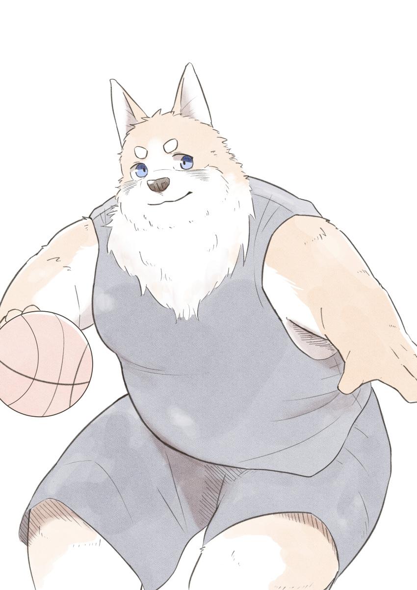 2021 absurd_res anthro ball basketball basketball_(ball) basketball_uniform bottomwear canid canine canis clothing domestic_dog en_1_9 hi_res humanoid_hands kemono male mammal overweight overweight_male shirt shorts simple_background solo sportswear topwear uniform