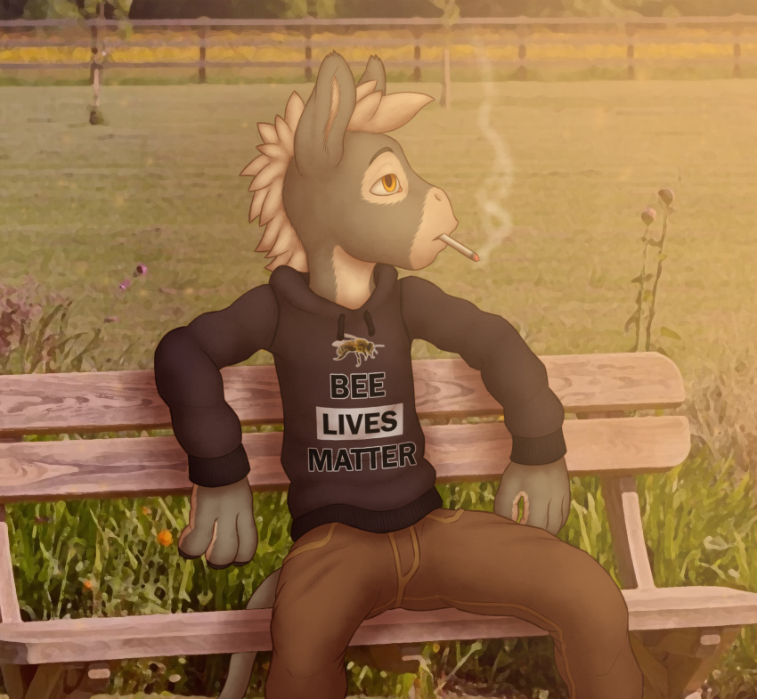 anthro asinus bench choko_(chokodonkey) chokodonkey cigarette clothed clothing donkey equid equine hi_res hoodie looking_away male mammal outside sarcasm sitting smoking solo topwear young