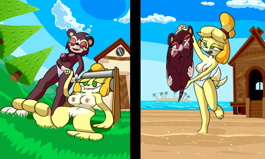 5:3 animal_crossing anthro beach bikini bikini_bottom breasts building canid canine canis clothed clothing detailed_background domestic_dog duo eulipotyphlan female flattened genitals grass green_eyes hedgehog house isabelle_(animal_crossing) mammal nintendo nipples noctulov nude on_one_leg outside plant pussy sable_able sand seaside smile standing swimwear topless tree video_games