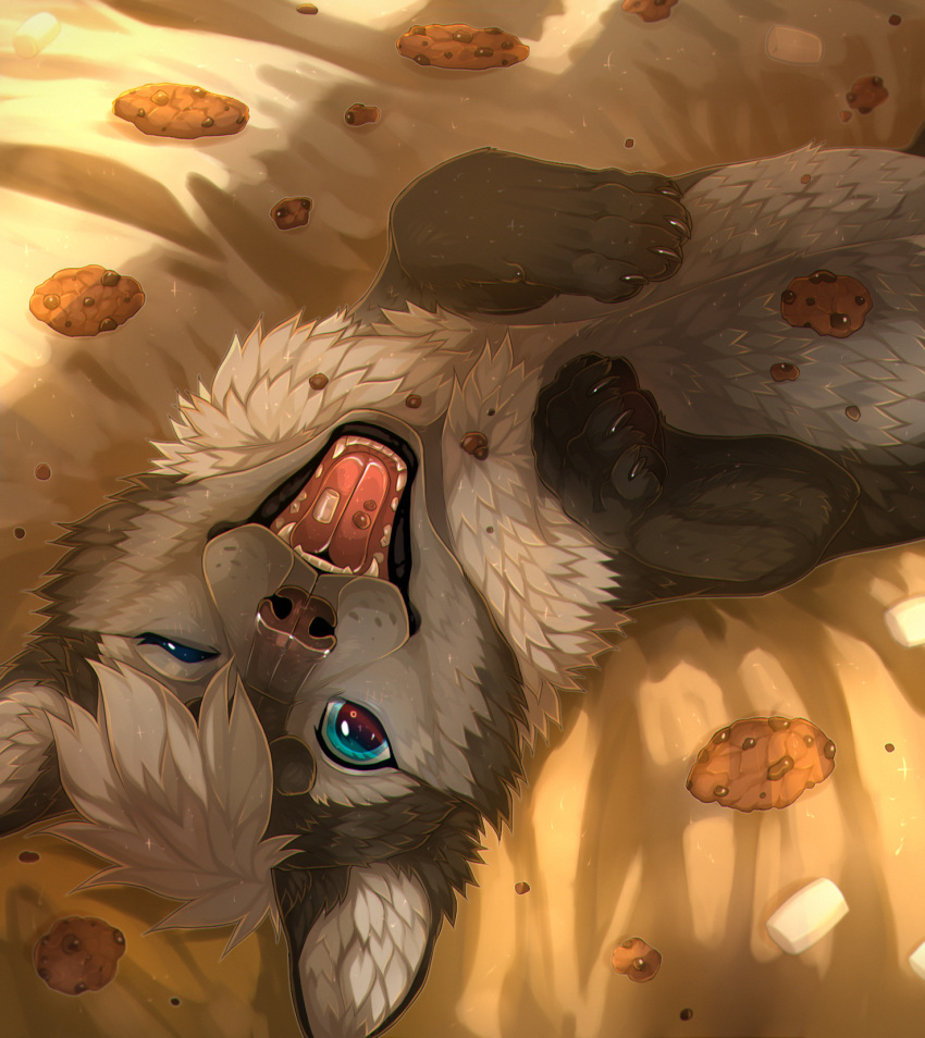 2020 blue_eyes canid canine canis cookie detailed_background feral fewtish food fur hair hi_res looking_at_viewer lying mammal on_back one_eye_closed open_mouth paws solo tongue wolf