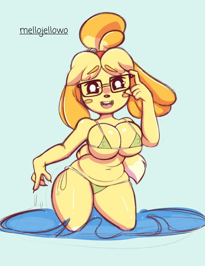 animal_crossing anthro belly_rolls big_breasts bikini breasts buckteeth canid canine canis clothing domestic_dog eyewear female glasses hi_res huge_breasts isabelle_(animal_crossing) looking_at_viewer mammal mellojellowo nintendo open_mouth open_smile partially_submerged simple_background slightly_chubby smile solo swimwear teeth video_games