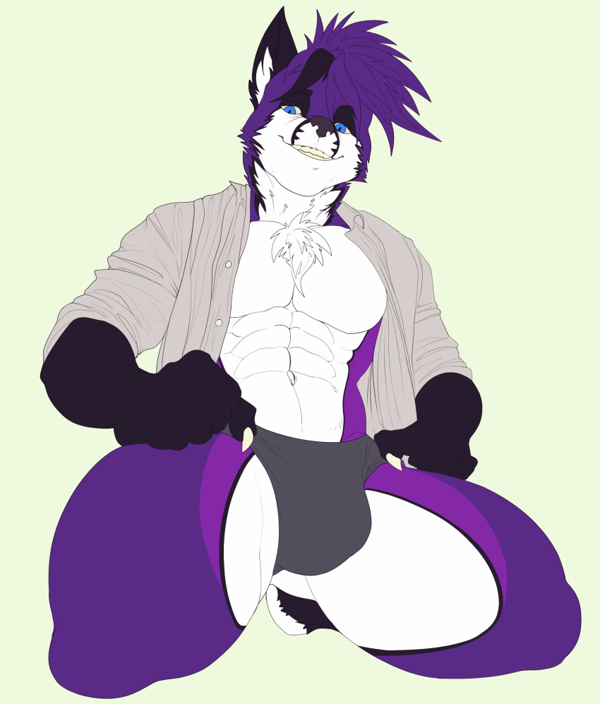 2021 5_fingers absurd_res anthro belly big_abs big_muscles big_quads black_arms black_body black_ears black_face black_fur black_hands black_legs black_nose blue_eyes bristol bulge canid canine cheek_tuft chest_tuft claws clothed_anthro clothed_male clothing colored digital_drawing_(artwork) digital_media_(artwork) ear_tuft facial_tuft fingers flat_colors fox full-length_portrait fur green_background grey_speedo hands_on_legs head_tuft hi_res huge_pecs humanoid_hands inner_ear_fluff kneeling leg_tuft looking_down_at_viewer low-angle_view male male_anthro mammal multicolored_body multicolored_face multicolored_fur multicolored_legs muscular muscular_anthro muscular_male navel neck_tuft open_mouth open_smile portrait purple_body purple_face purple_fur purple_legs shirt shyloc simple_background smile smiling_at_viewer solo three-quarter_view topwear tuft white_belly white_body white_chest white_claws white_clothing white_face white_fur white_inner_ear white_legs white_shirt white_topwear