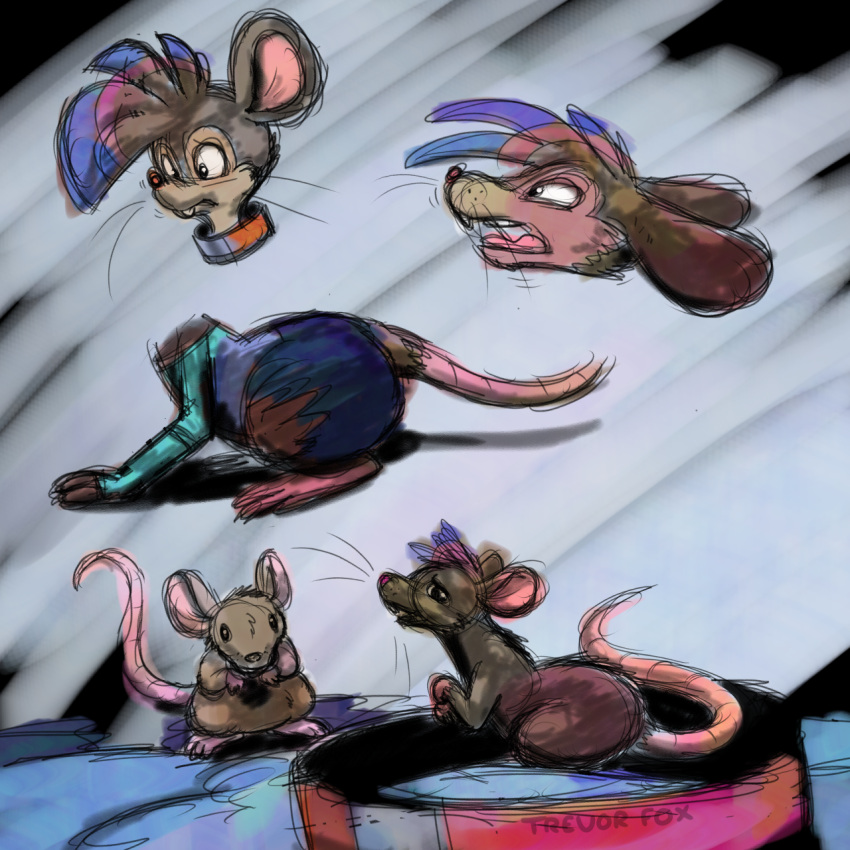 1:1 anthro_to_feral collar feral hi_res mammal mouse murid murine rat rodent transformation trevor-fox trevor-fox_(character)