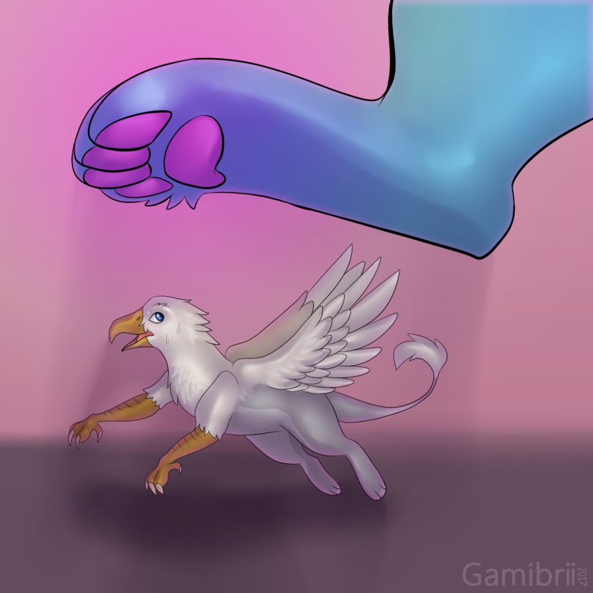 1:1 avian beak bird bird_feet blue_body damibri der duo feathered_wings feathers feral galliform gryphon gyro_feather hi_res imminent_crush male micro mythological_avian mythology pawpads paws peafowl phasianid quadruped size_difference tail_tuft tuft underpaw wings