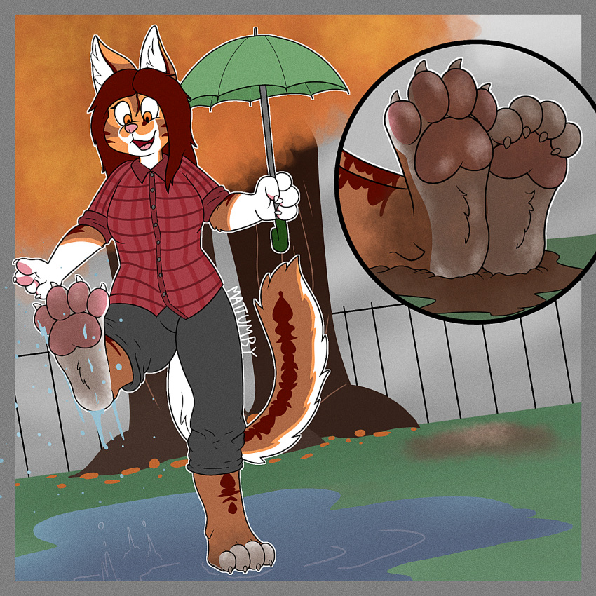 1:1 anthro autumn barefoot cedar_(cedarcat) clothed clothing cogs90210 dirty_feet domestic_cat feet felid feline felis female foot_fetish foot_focus hi_res hindpaw maine_coon mammal mud pawpads paws puddle solo umbrella