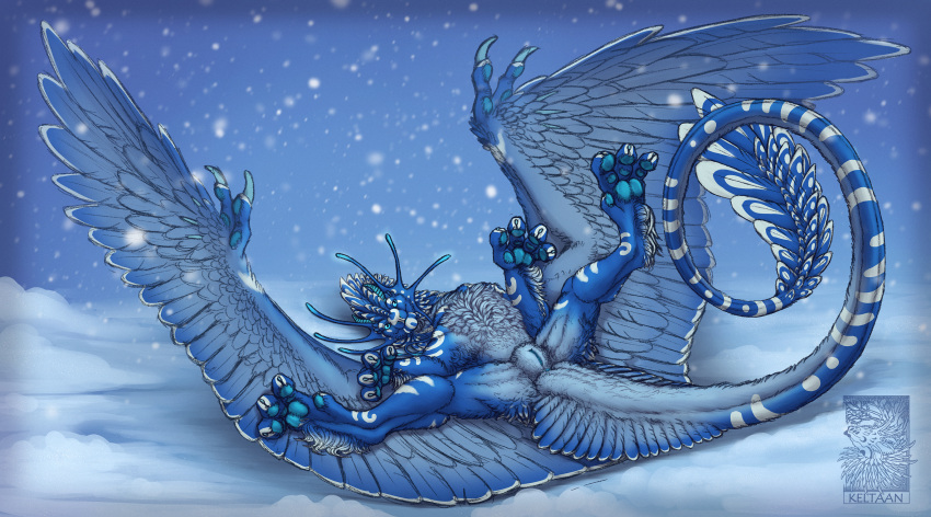 2021 blue_body blue_feathers blue_fur digital_media_(artwork) dragon english_text feathered_dragon feathered_wings feathers female feral fur furred_dragon genitals hi_res keltaan looking_at_viewer pussy snow snowing solo text wings