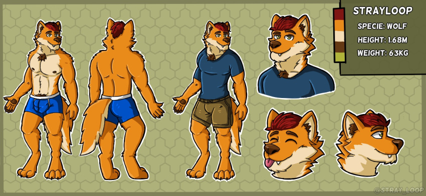 19.5:9 2021 abs anthro biceps biped blep bottomwear boxer_briefs bulge canid canine canis chest_tuft clothed clothing color_swatch digital_media_(artwork) disembodied_head eyes_closed fully_clothed fur hair inner_ear_fluff looking_at_viewer male mammal model_sheet muscular muscular_anthro muscular_male navel nipples orange_body orange_fur pawpads paws pecs pubes red_hair shirt shorts smile solo standing strayloop strayloop_(character) tan_body tan_fur tongue tongue_out topwear tuft underwear underwear_only wolf