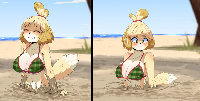 2021 accessory animal_crossing anthro beach bikini bikini_top blonde_hair blush breasts bubble canid canine canis clenched_teeth clothing dipstick_tail distressed domestic_dog eyebrows eyelashes eyes_closed female fur glistening green_eyes hair hair_accessory hair_tie isabelle_(animal_crossing) looking_down mammal markings mud navel nintendo oppaihobby outside partially_submerged quicksand sand seaside shih_tzu short_hair sinking solo struggling stuck swimwear tail_markings tan_body tan_fur teeth toy_dog under_boob video_games yellow_body yellow_fur