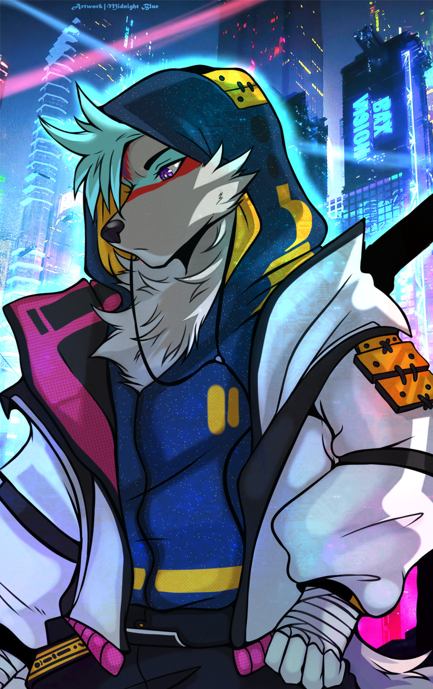 anthro black_noise blue_hair canid canine canis cheek_tuft city city_background clothing cyberpunk detailed_background earbuds facial_markings facial_tuft fur hair head_markings headphones hi_res hoodie jacket male mammal markings midnight_blue purple_eyes solo topwear tuft white_body white_fur wolf