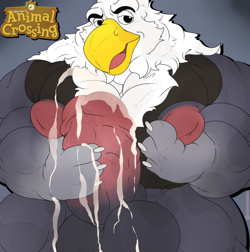 4_fingers accipitrid accipitriform animal_crossing anthro apollo_(animal_crossing) avian balls beak big_balls big_muscles big_nipples big_penis bird bodily_fluids claws eagle feathers fingers genital_fluids genitals hi_res incrediblecrocodile looking_at_viewer male muscular muscular_male nintendo nipples penis pink_nipples pink_penis pink_tongue precum simple_background solo thick_penis tongue vein veiny_penis video_games white_body white_feathers