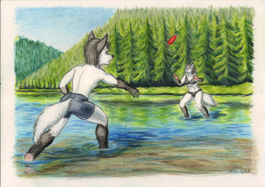 anthro back_groove bare_back bikini bottomwear brother brother_and_sister canid canine clothed clothing duo female forest fox frisbee fur hi_res lake male male/female mammal plant playing shorts sibling sister story swimwear syntech teenager throwing topless tree water wet wet_body wet_fur young