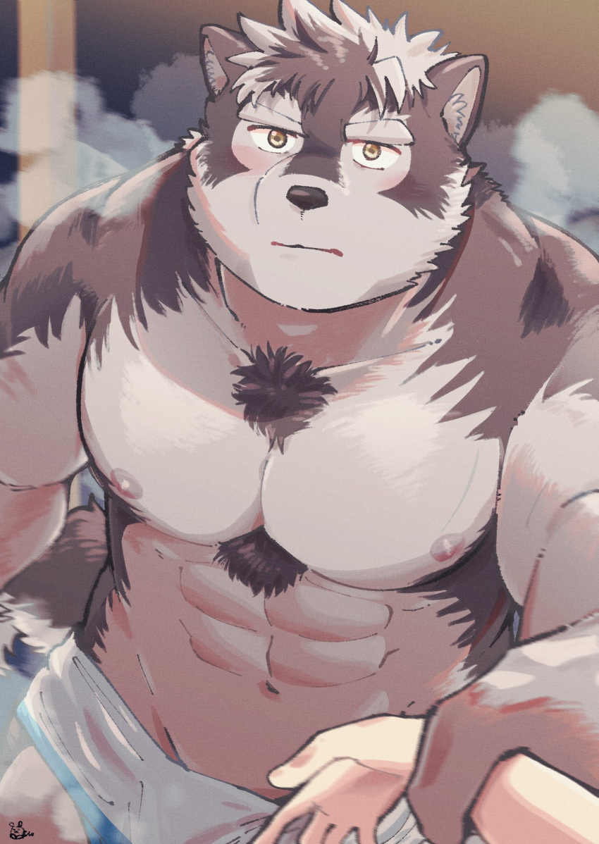 abs anthro blush body_hair canid canine canis chest_hair first_person_view hairy hi_res horkeukamui lifewonders male mammal muscular muscular_anthro muscular_male navel nipples pecs sauna sawch_cls tokyo_afterschool_summoners towel video_games wolf yellow_eyes