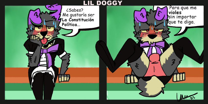 2:1 anthro black_clothing blush bodily_fluids border_collie bottomwear bulge butt canid canine canis clotehd clothed clothing collie crossdressing dialogue domestic_dog herding_dog hi_res humor legwear lil_doggy_(artist) looking_at_viewer looking_pleasured maid_uniform male mammal panties panties_bulge pastoral_dog penis_in_panties pink_clothing pink_panties pink_underwear presenting presenting_hindquarters purple_ears raised_bottomwear raised_clothing raised_skirt sheepdog shy simple_background skirt solo spanish_text speech_bubble spread_legs spreading sweat text translation_check translation_request underwear uniform upskirt