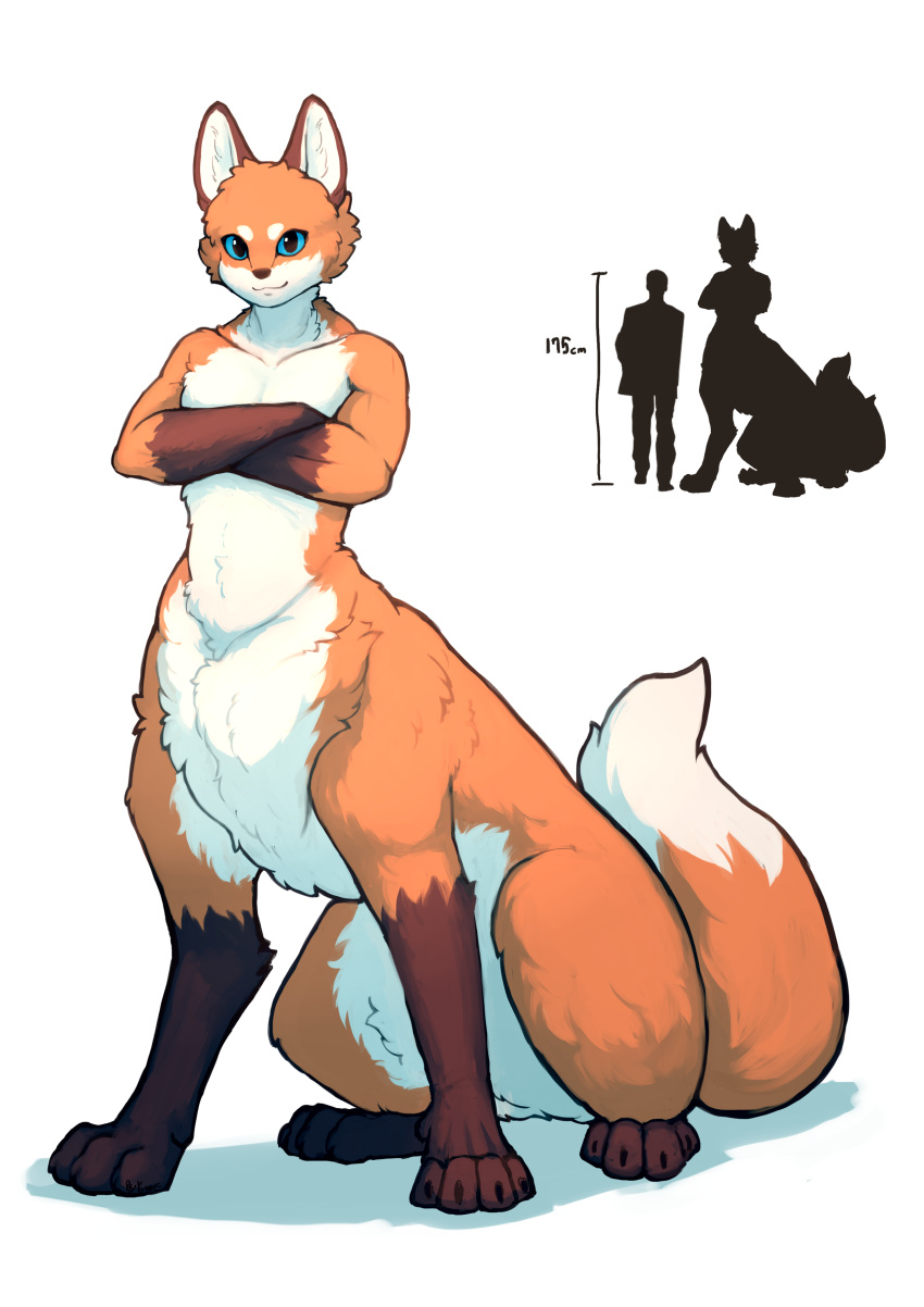 2021 absurd_res blue_eyes brown_body brown_fur canid canid_taur canine canine_taur chart color_fox crossed_arms fox fox_taur fur hi_res mammal mammal_taur nude orange_body orange_fur simple_background size_chart solo taur white_background white_body white_fur