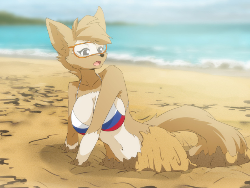 4:3 anthro beach big_breasts bikini breasts brown_body brown_fur canid canine canis clothing crossgender eyewear female fifa flag_bikini fur gloves_(marking) goggles hair inner_ear_fluff mammal markings mascot navel open_mouth outside quicksand russian_flag sand seaside shoulder_tuft sinking solo stuck swimwear tuft white_body white_fur wolf zabivaka zekkymzn