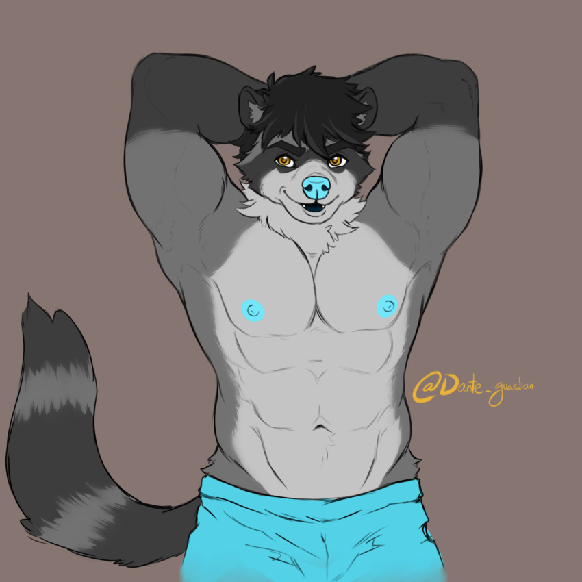 1:1 abs anthro biceps black_hair blue_nipples blue_nose bottomwear clothed clothing danteguardian eyebrows fangs fur grey_body grey_fur hair hands_behind_head hi_res male mammal markings muscular muscular_anthro muscular_male navel neck_tuft nipples open_mouth open_smile orange_eyes orange_pupils pants pecs pose procyonid pupils raccoon ring_(marking) ringtail simple_background smile solo tail_markings teeth topless tuft
