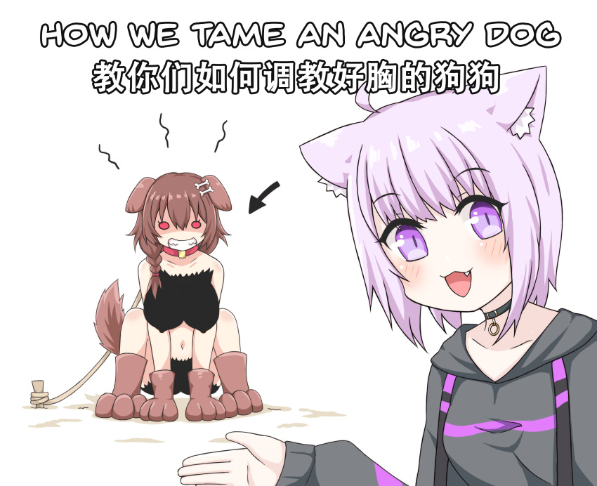 absurd_res accessory ahoge angry animal_humanoid big_breasts blush breasts brown_hair canid canid_humanoid canine canine_humanoid canis cat_humanoid chinese_text choker clenched_teeth clothed clothing collar comic cute_fangs digital_media_(artwork) dog_humanoid duo english_text felid felid_humanoid feline feline_humanoid female greenteaneko hair hair_accessory hi_res hololive huge_breasts humanoid humor inner_ear_fluff jacket jewelry korone_inugami light_body light_skin looking_at_viewer mammal mammal_humanoid navel necklace nipple_outline nipples nude okayu_nekomata open_mouth purple_eyes purple_hair red_eyes teeth text topwear tuft virtual_youtuber