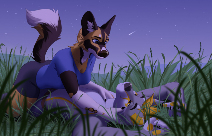2021 african_wild_dog anthro black_nose blue_eyes breasts canid canine canis clothed clothing detailed_background digital_media_(artwork) domestic_dog duo eyebrows eyelashes female grass lying mammal night on_back outside plant sinalanf sky smile star starry_sky vork_(vorktheartist) wolfool_(wolfool)