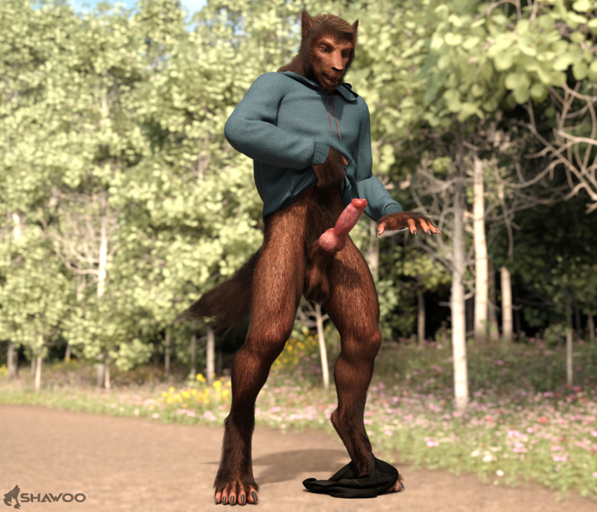 3d_(artwork) animal_genitalia animal_penis canid canine canine_penis canis claws clothed clothing digital_media_(artwork) erection fluffy forest fur genitals hi_res hoodie male mammal partially_clothed penis plant shawoo solo surprise teeth topwear transformation tree underwear underwear_down were werecanid werecanine werewolf wolf