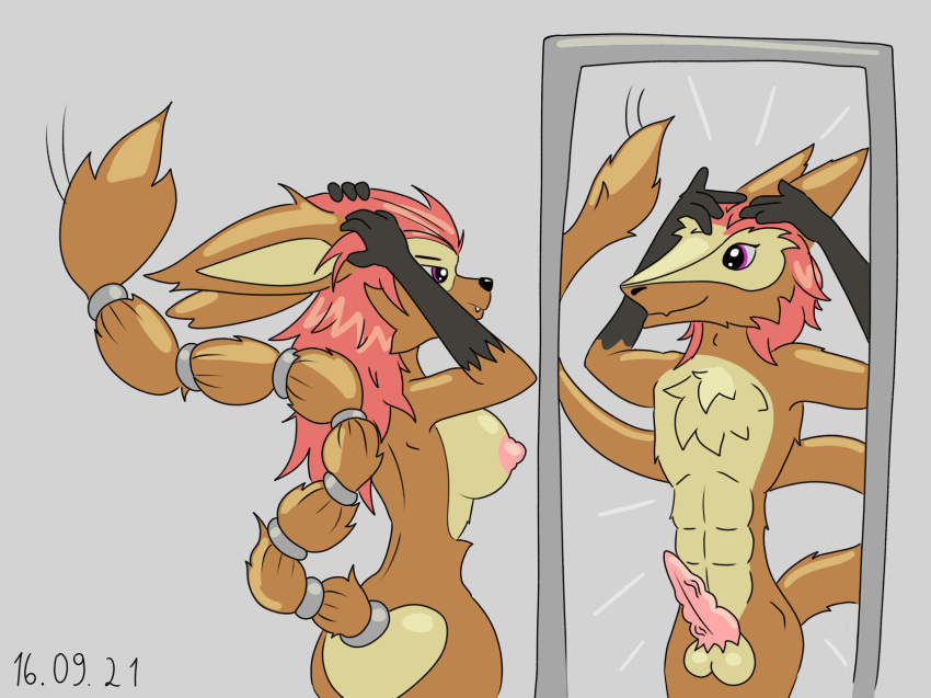 anthro breasts erection female genitals hi_res hybrid male mirror penis sergal solo tama-tama unknown_artist